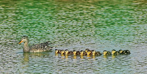 计划不变！《战争机器：事变日》确认将于2026年发售